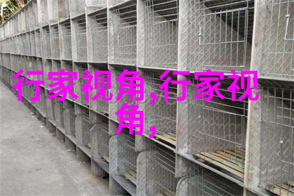 白色靴子可以配黑色裤袜吗