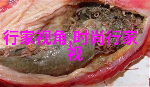 白色拉链卫衣外套怎么搭配