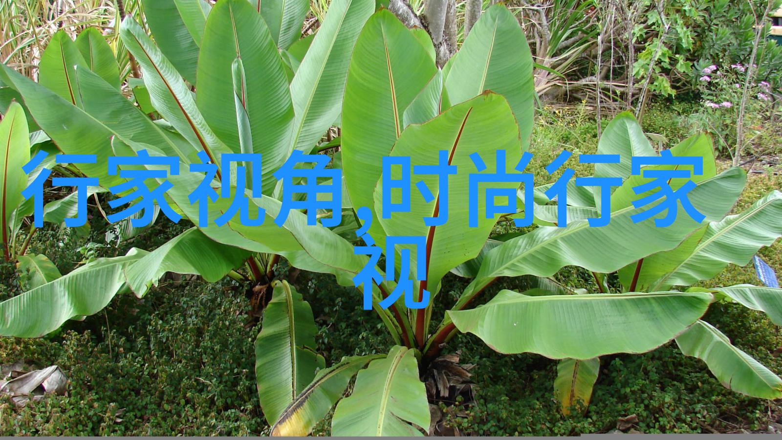 2021年流行的中卷发(2021年流行的卷发发型)