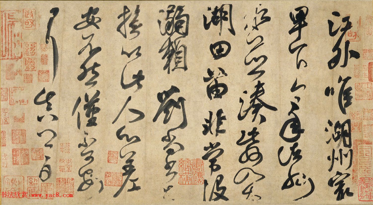 黑白配礼服裙经典且耐看 看似简单却魅力无穷